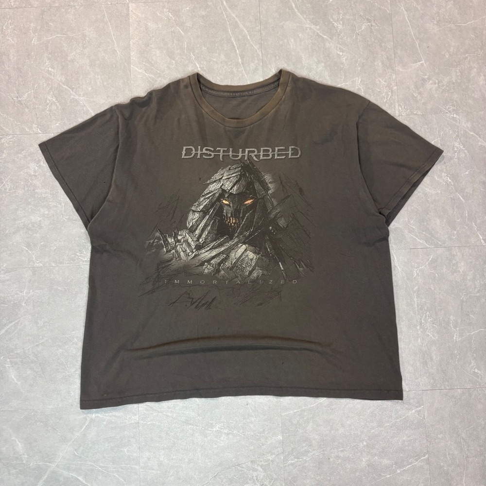 Disturbed Immortalized Band T-Shirt Mens Gray Distressed Heavy Metal Rock Tee